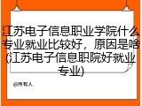 江苏电子信息职业学院什么专业就业比较好，原因是啥(江苏电子信息职院好就业专业)