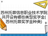 苏州托普信息职业技术学院共开设有哪些类型奖学金(苏州托普奖学金种类)