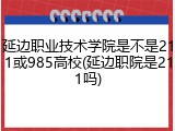 延边职业技术学院是不是211或985高校(延边职院是211吗)