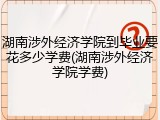 湖南涉外经济学院到毕业要花多少学费(湖南涉外经济学院学费)