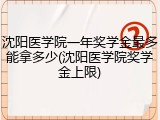 沈阳医学院一年奖学金最多能拿多少(沈阳医学院奖学金上限)