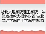 湖北文理学院理工学院一年财政拨款大概多少钱(湖北文理学院理工学院年拨款)