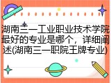 湖南三一工业职业技术学院最好的专业是哪个，详细阐述(湖南三一职院王牌专业)