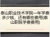 泰山职业技术学院一年学费多少钱，还有哪些费用(泰山职院学费费用)