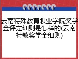 云南特殊教育职业学院奖学金评定细则是怎样的(云南特教奖学金细则)