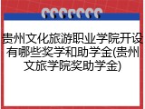 贵州文化旅游职业学院开设有哪些奖学和助学金(贵州文旅学院奖助学金)