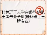 桂林理工大学有哪些专业，王牌专业分析(桂林理工王牌专业)