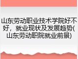 山东劳动职业技术学院好不好，就业现状及发展趋势(山东劳动职院就业前景)