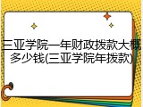 三亚学院一年财政拨款大概多少钱(三亚学院年拨款)