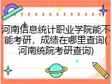 河南信息统计职业学院能不能考研，成绩在哪里查询(河南统院考研查询)