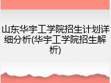 山东华宇工学院招生计划详细分析(华宇工学院招生解析)