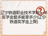 辽宁铁道职业技术学院一年奖学金最多能拿多少(辽宁铁道奖学金上限)