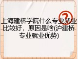 上海建桥学院什么专业就业比较好，原因是啥(沪建桥专业就业优势)
