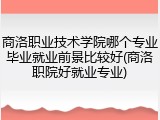 商洛职业技术学院哪个专业毕业就业前景比较好(商洛职院好就业专业)
