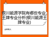 银川能源学院有哪些专业，王牌专业分析(银川能源王牌专业)