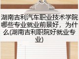 湖南吉利汽车职业技术学院哪些专业就业前景好，为什么(湖南吉利职院好就业专业)
