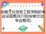 安徽文达信息工程学院的专业设置概况介绍(安徽文达专业概览)
