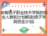 安徽扬子职业技术学院的招生人数和计划解读(扬子学院招生计划)