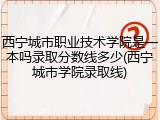 西宁城市职业技术学院是一本吗录取分数线多少(西宁城市学院录取线)
