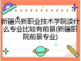 新疆兴新职业技术学院读什么专业比较有前景(新疆职院前景专业)