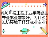 潍坊环境工程职业学院哪些专业就业前景好，为什么(潍坊环境工程好就业专业)