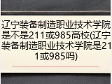 辽宁装备制造职业技术学院是不是211或985高校(辽宁装备制造职业技术学院是211或985吗)