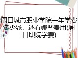 周口城市职业学院一年学费多少钱，还有哪些费用(周口职院学费)