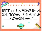 揭阳职业技术学院哪些专业就业前景好，为什么(揭阳学院好就业专业)