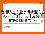 沧州航空职业学院哪些专业就业前景好，为什么(沧州航院好就业专业)