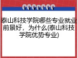 泰山科技学院哪些专业就业前景好，为什么(泰山科技学院优势专业)