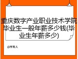 重庆数字产业职业技术学院毕业生一般年薪多少钱(毕业生年薪多少)