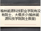 榆林能源科技职业学院有没有院士，大概多少(榆林能源科技学院院士数量)
