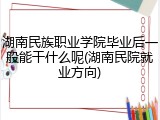 湖南民族职业学院毕业后一般能干什么呢(湖南民院就业方向)