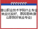 唐山职业技术学院什么专业就业比较好，原因是啥(唐山职院好就业专业)
