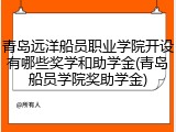 青岛远洋船员职业学院开设有哪些奖学和助学金(青岛船员学院奖助学金)