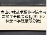 嵩山少林武术职业学院高考需多少分能录取呢(嵩山少林武术学院录取分数)