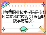 吐鲁番职业技术学院是专科还是本科院校呢(吐鲁番职院学历层次)