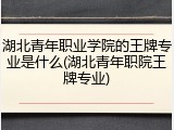 湖北青年职业学院的王牌专业是什么(湖北青年职院王牌专业)