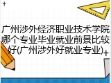 广州涉外经济职业技术学院哪个专业毕业就业前景比较好(广州涉外好就业专业)