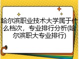 哈尔滨职业技术大学属于什么档次，专业排行分析(哈尔滨职大专业排行)