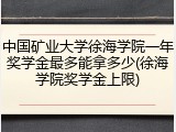中国矿业大学徐海学院一年奖学金最多能拿多少(徐海学院奖学金上限)