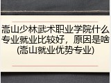嵩山少林武术职业学院什么专业就业比较好，原因是啥(嵩山就业优势专业)