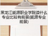 黑龙江能源职业学院读什么专业比较有前景(能源专业前景)