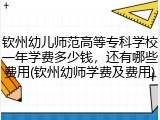 钦州幼儿师范高等专科学校一年学费多少钱，还有哪些费用(钦州幼师学费及费用)