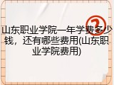 山东职业学院一年学费多少钱，还有哪些费用(山东职业学院费用)