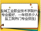 盐城工业职业技术学院什么专业最好，一年招多少人(盐工院热门专业招生)