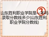 山东胜利职业学院是一本吗录取分数线多少(山东胜利职业学院分数线)
