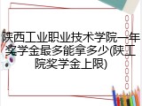 陕西工业职业技术学院一年奖学金最多能拿多少(陕工院奖学金上限)