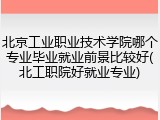 北京工业职业技术学院哪个专业毕业就业前景比较好(北工职院好就业专业)