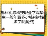 榆林能源科技职业学院毕业生一般年薪多少钱(榆林能源学院薪资)